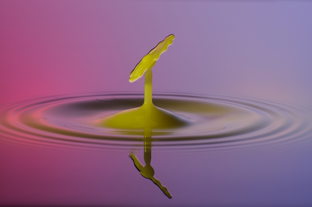 Waterdrop
