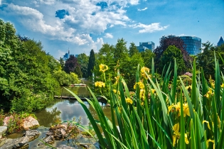 Flora & Fauna_21
