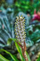 Flora & Fauna_34