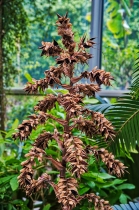 Flora & Fauna_40