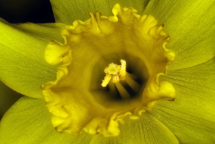 Focus Stacking_12