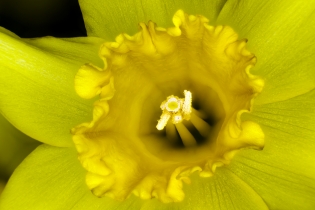Focus Stacking_13