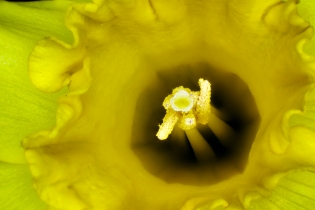 Focus Stacking_14