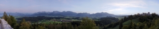 Eisenberg (5)