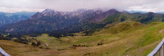 Fellhorn