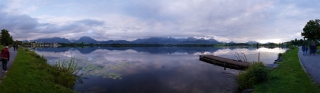 Hopfen am See (1)