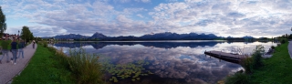Hopfen am See_1