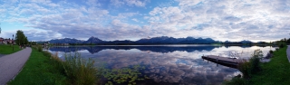 Hopfen am See_2