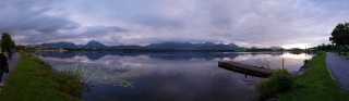 Hopfen am See (4)