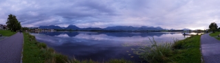 Hopfen am See (9)