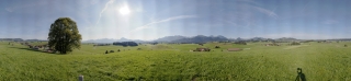 Hopferried (1)