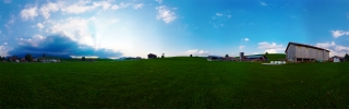 Wiedemen (1)