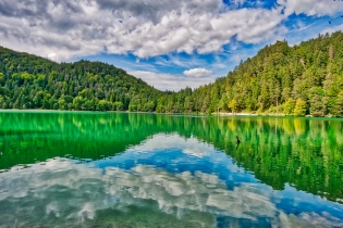 Alatsee (1)