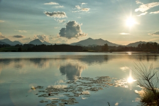 Hopfen am See