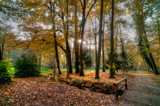 Aschaffenburg - Schönbusch (3)