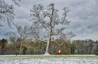 Aschaffenburg - Schönbusch_118