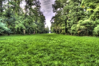 Schönbusch (10)
