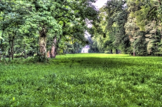 Schönbusch (12)