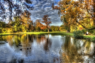 Schönbusch (47)