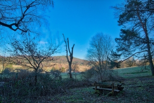Schweinheim (2)