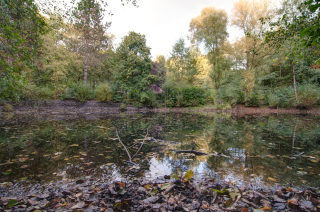 Bruchköbel (1)