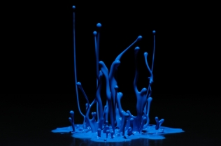 Color in Motion (1)