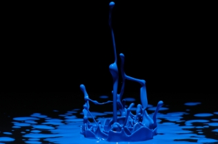 Color in Motion (3)