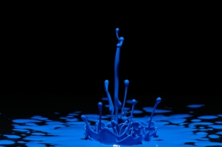Color in Motion (4)