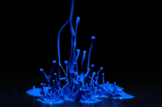 Color in Motion (5)