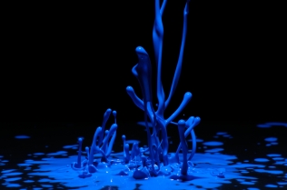 Color in Motion (6)