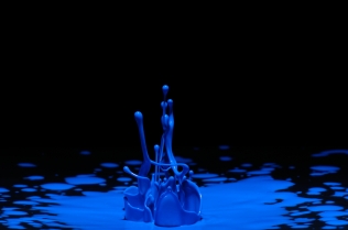 Color in Motion (7)