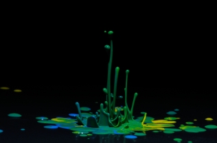 Color in Motion (1)