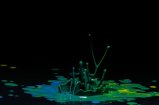 Color in Motion (2)