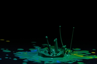 Color in Motion (3)