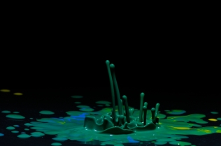 Color in Motion (5)