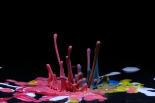 Color in Motion (9)