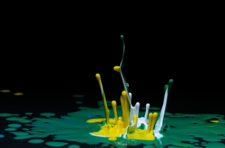 Color in Motion (26)
