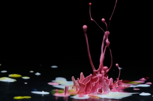 Color in Motion (10)