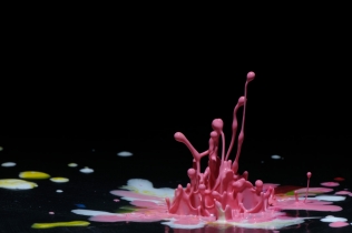 Color in Motion (11)