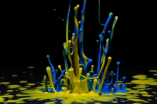 Color in Motion (38)