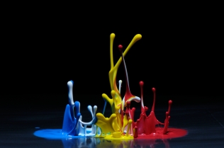 Color in Motion (43)