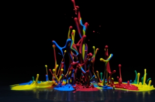 Color in Motion (51)