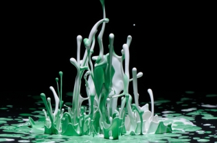 Color in Motion (54)