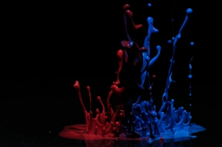 Color in Motion (1)