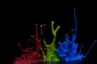 Color in Motion (2)