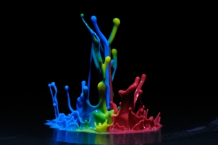 Color in Motion (3)
