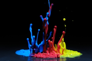 Color in Motion (4)