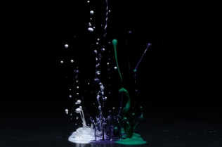 Color in Motion_62
