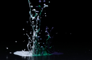 Color in Motion_64