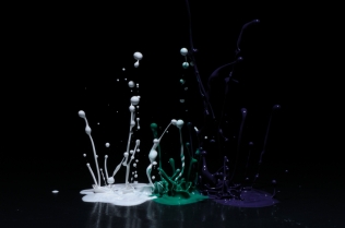 Color in Motion_65